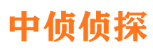 禹会寻人公司